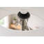 Lampe sur pied Serene Nickel brossé avec interrupteur rotatif