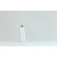 Ampoules de basalte 120 V