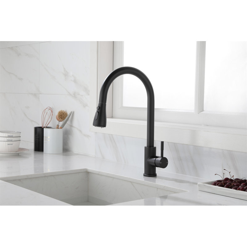Kitchen Faucet With Pull Out Spraye