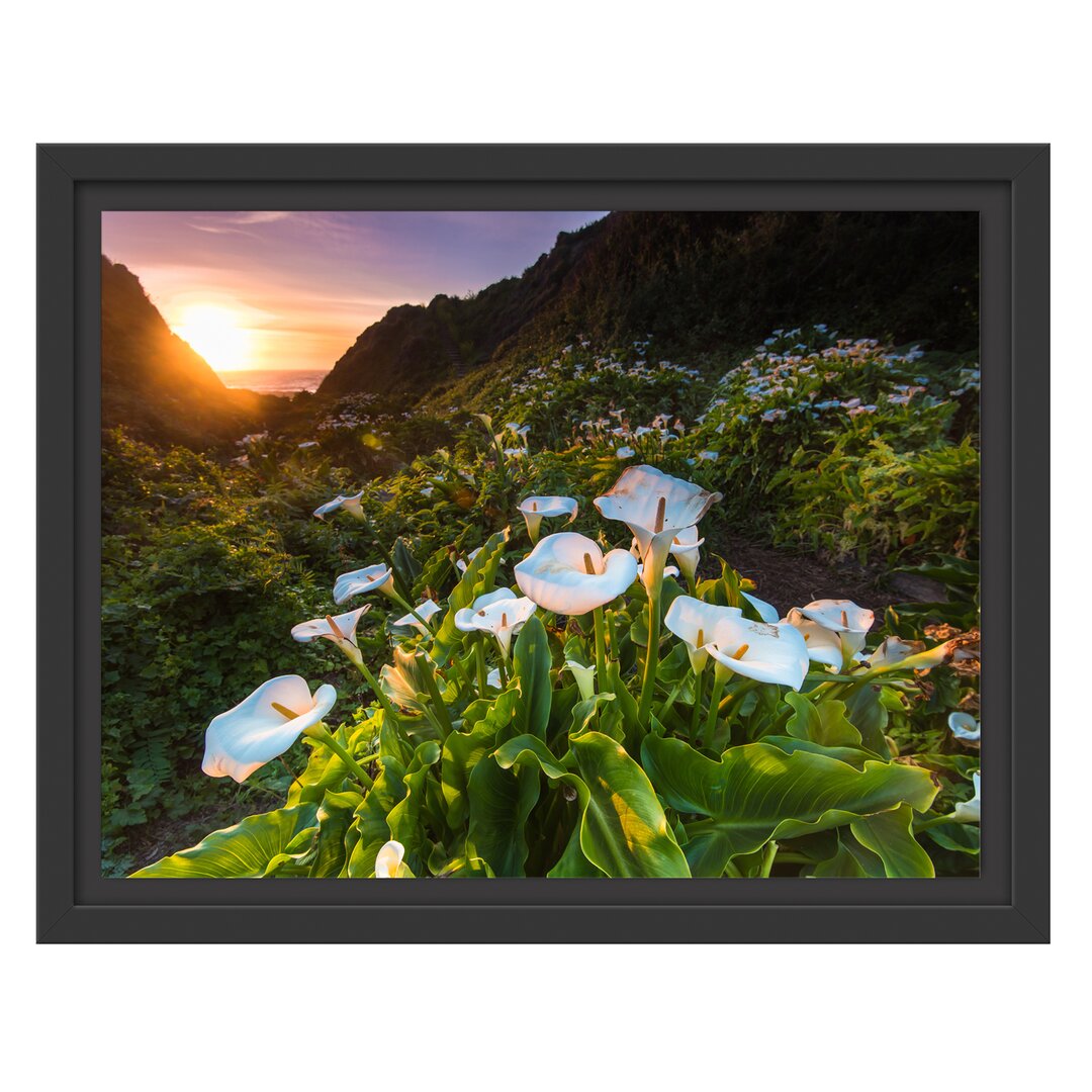 Gerahmtes Wandbild Blumenwiese in den Bergen