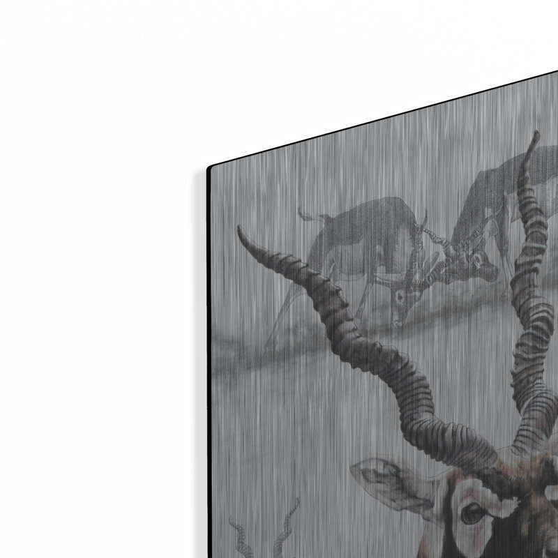 «Black Buck» par Barbara Keith, H 24 po x l 16 po