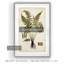 « palm botanique iv »-impression sur toile-1913027437-1913026793