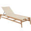 Coast Reclining Chaise Lounge-238125475