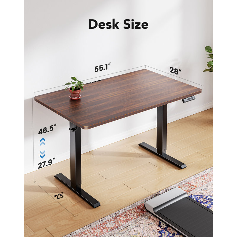 Bureau debout électrique à hauteur ajustable, L 55 po x P 28 po, Noyer / noir