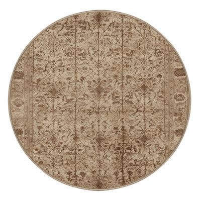 Machine Washable Persian Brown Area Rug