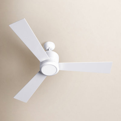 Tulsi Ceiling Fan with Light Kit