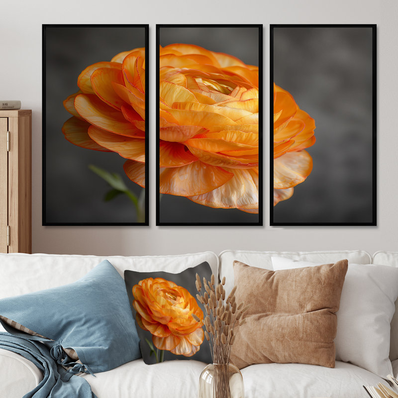 Ensemble de décorations murales orange et noir Ranunculus Bloom I - Ranunculus, Toile avec cadre flottant noir