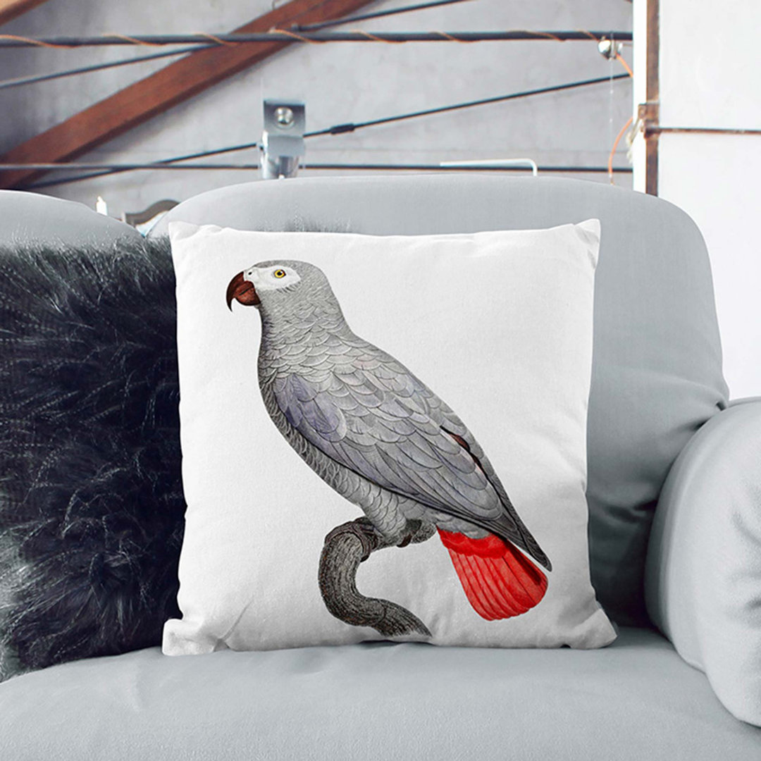 A Grey Parrot by F. Levaillant Cushion with Filling