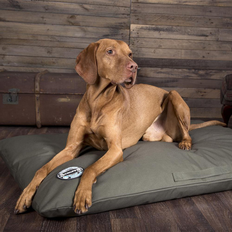Expedition Orthopedic Polyester Pet Bed, 9cm H x 80cm W x 120cm D, Olive