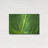 " Leaf Details " by Dennis Frates-1447468781