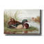 Toile épique «Resting Duck 2» par Stellar Design Studio, Epic Graffiti, 18 po x 12 po-506522641