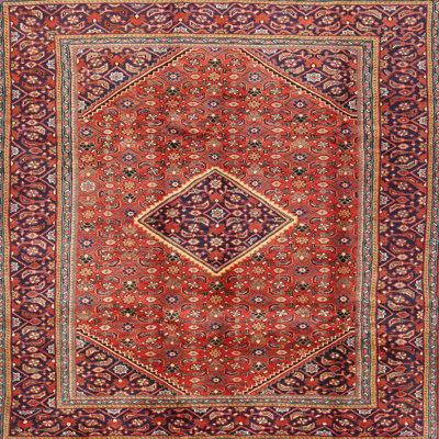 Towanna Performance Oriental Indoor Rug