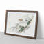 Albatross by Numata Kashu - Picture Frame Painting Print-55683106-55683103