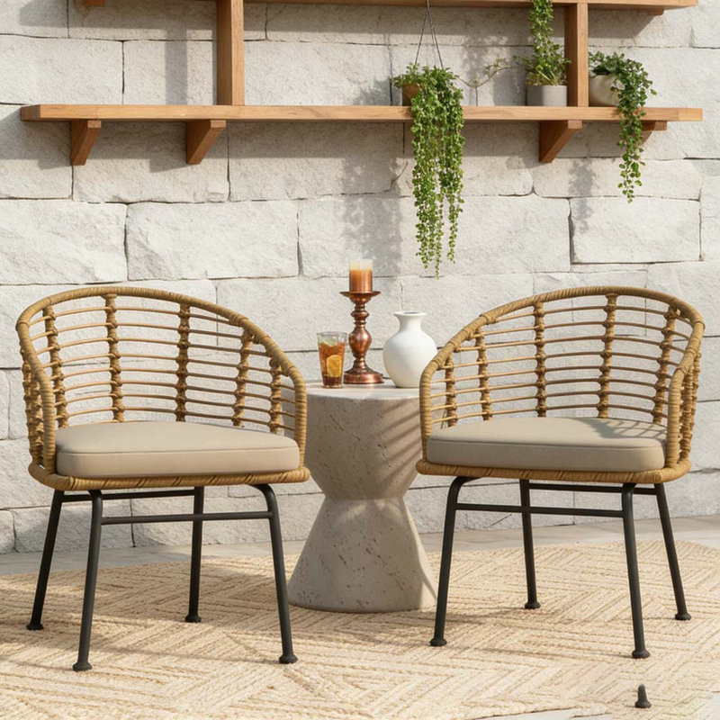 Modern Dining Chair