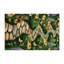 Tapis d'intérieur et d'extérieur vert Nature-883227709
