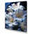 Wrapped Canvas