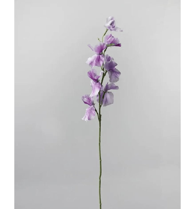 Aérosol romantique pour pois sucrés - 21 po, Periwinkle Blue, [C] 6 Stems