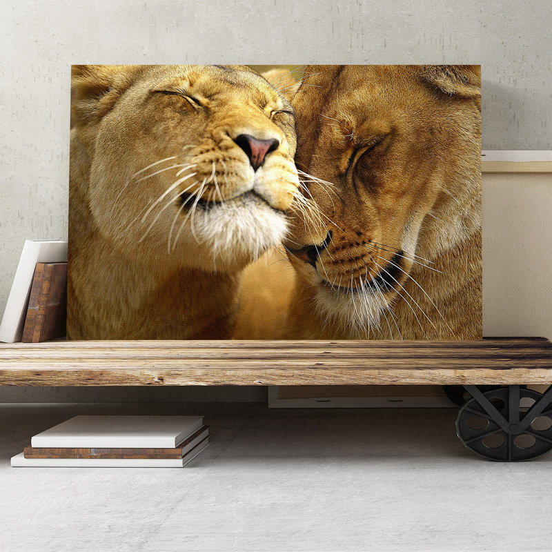 Cuddling Lions Photographic - Wrapped Canvas, 35cm H x 50cm W
