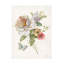 Art sur toile «olog »-105629434