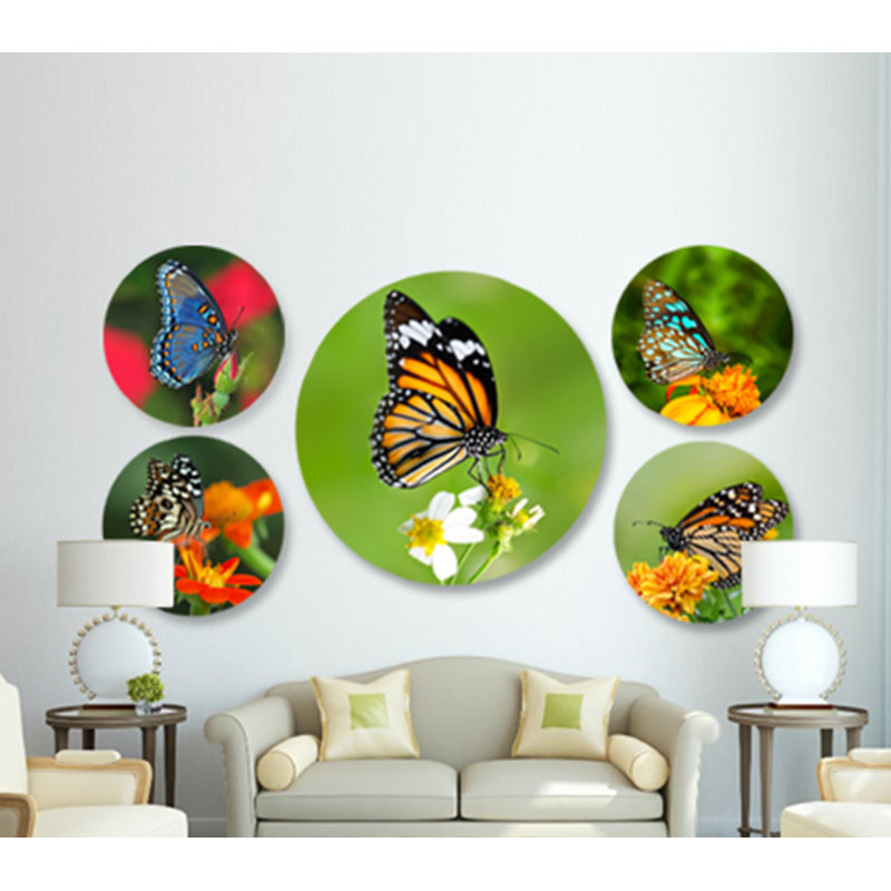 Magnifique papillon - photographie sur acrylique, H 24 po x l 24 po