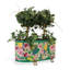 Rousham Ceramic Planter-66802628