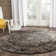 Reading Oriental Viscose Hand Woven Area Rug