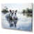 Toile tendue
