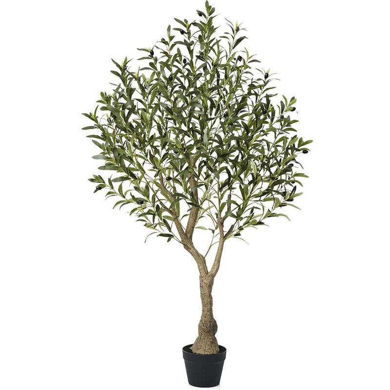 180cm Plant, 150 cm x 19 cm