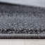 Parma Area Rug-97633535