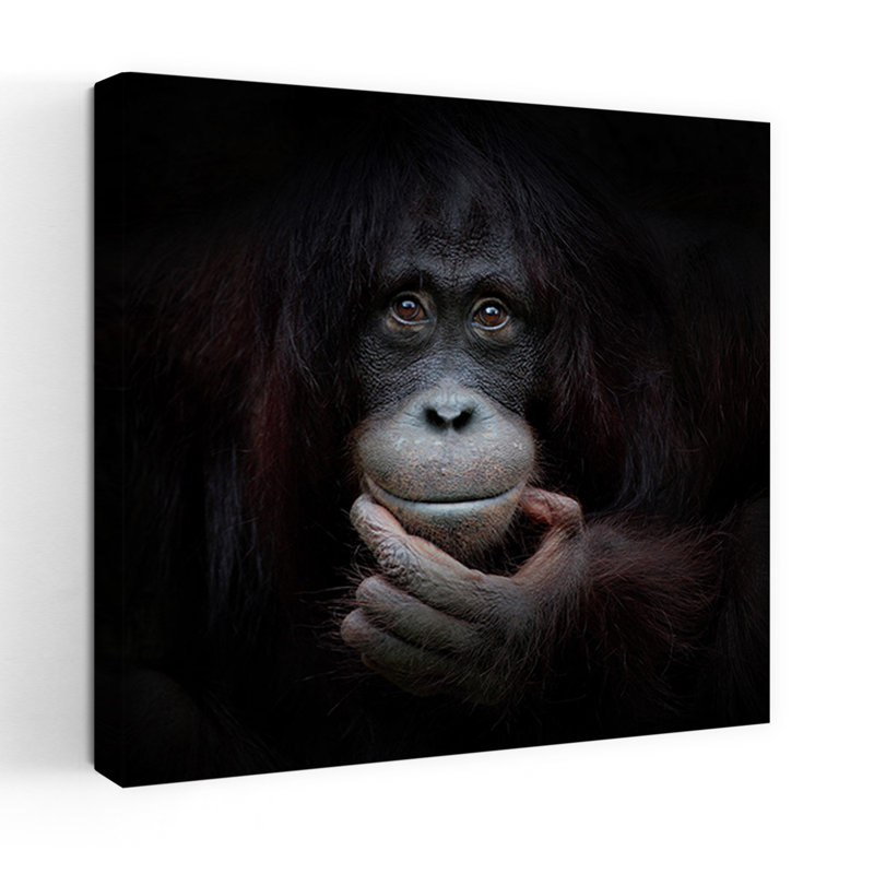 Art contemporain singe contemporain, H 24 po x l 24 po