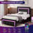 Alber Upholstered Platform Bed Frame with LED Lights,with Diamond Tufted No Box Spring Needed-1988990743-1988990742