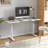 Oakhaven 140cm W Height Adjustable Rectangle Standing Desk