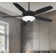52" 5 - Blade LED Standard Ceiling Fan with Pull Chain and Light Kit Included