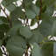 4ft. Artificial Eucalyptus Tree