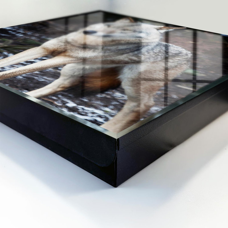Decorative key box for wall, Opens to the left, 30x30x5, White, A majestic wolf in a forest full of contrasts, 