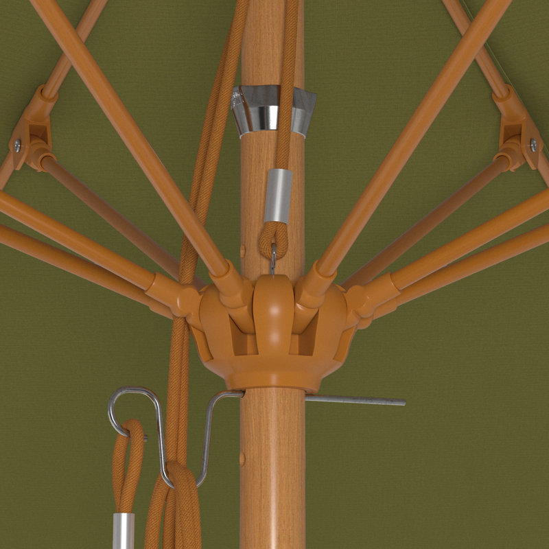 Parasol en bois de teck 11 pi, Plante palmier