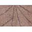 Monstera Hand Woven Cotton Floral Area Rug