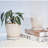 2 Piece Ceramic Plant Pot with Drainage Holes and Saucers-1986390040