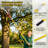 7.3-27FT Extendable Manual Pole Saw with Scissors