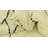 Julian Ivory Rug