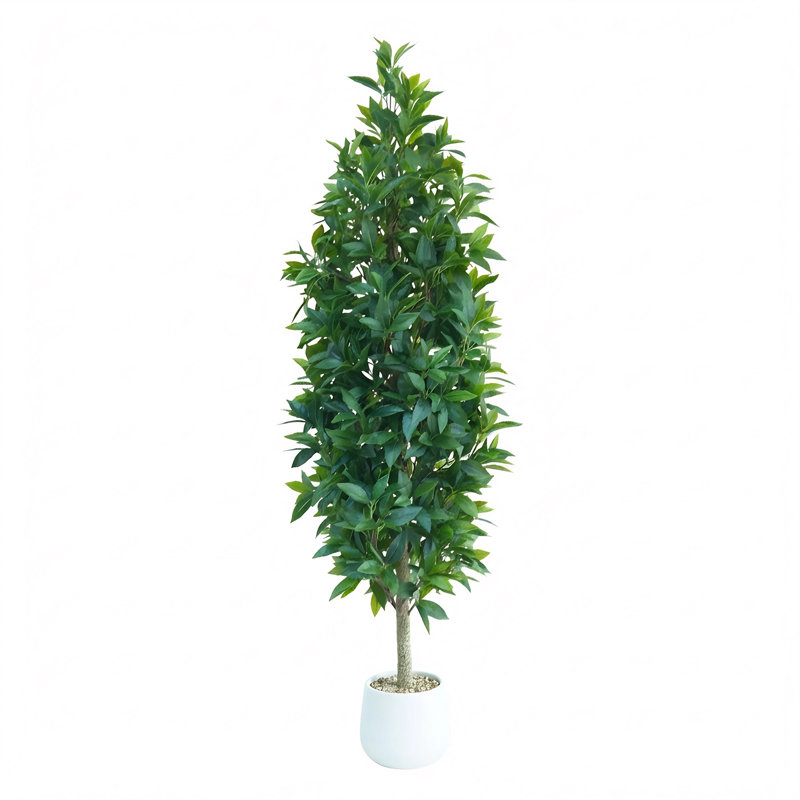 150cm Plant, White