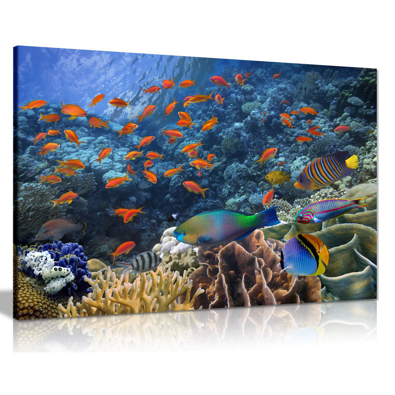 Tropical Fish On Coral Reef - Wrapped Canvas Print, 20cm H x 31cm W