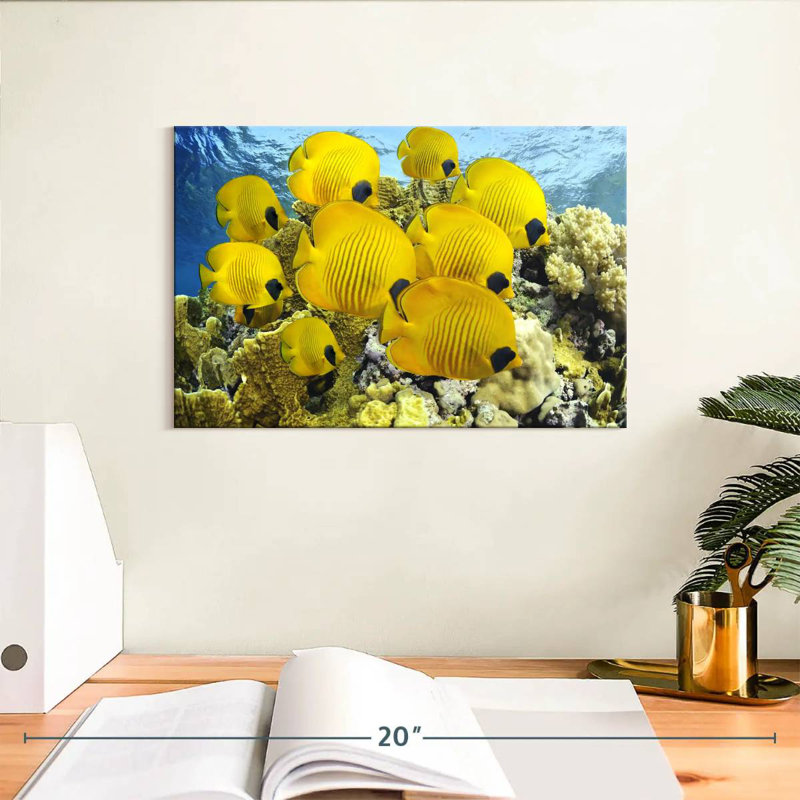 Crowle - poisson jaune, H 8 po x l 12 po