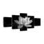 Ensemble de 5 pièces fleurs de lotus monochromes sur toile-92790284