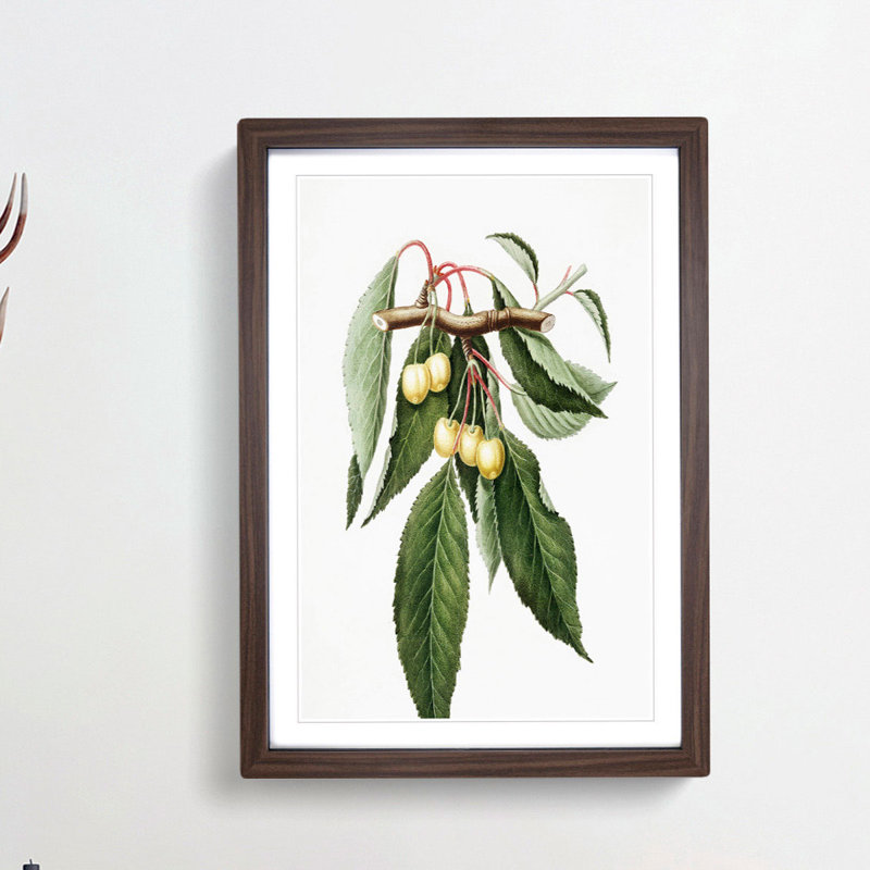 Ripening Cherries by Giorgio Gallesio - Picture Frame Painting Print, 65cm H x 48cm W x 2cm D, Walnut Framed