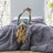 Box Stitch Comforter Set-75689510-65307760