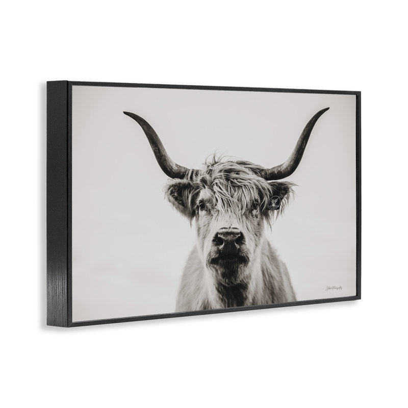 Portrait de bovins calmes, estampe numérique par Dakota Diener, Giclée encadrée noir minuit, H 12 po x l 18 po