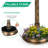 Hiles Polypropylene Birdbath with Solar Light-174890379