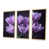 Toile naturelle avec cadre flottant