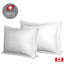Oreiller en duvet d'oie Kittredge-176573774